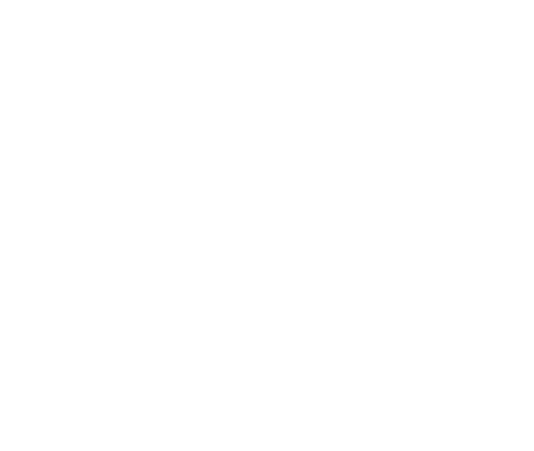 Flag icon with a sword crossing over it