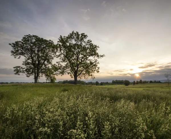 Antietam National Battlefield, Sharpsburg, Md.