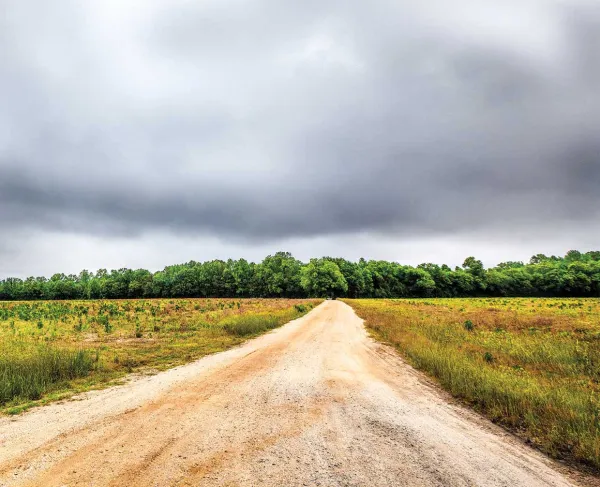 Bentonville Battlefield, Johnston County, N.C.
