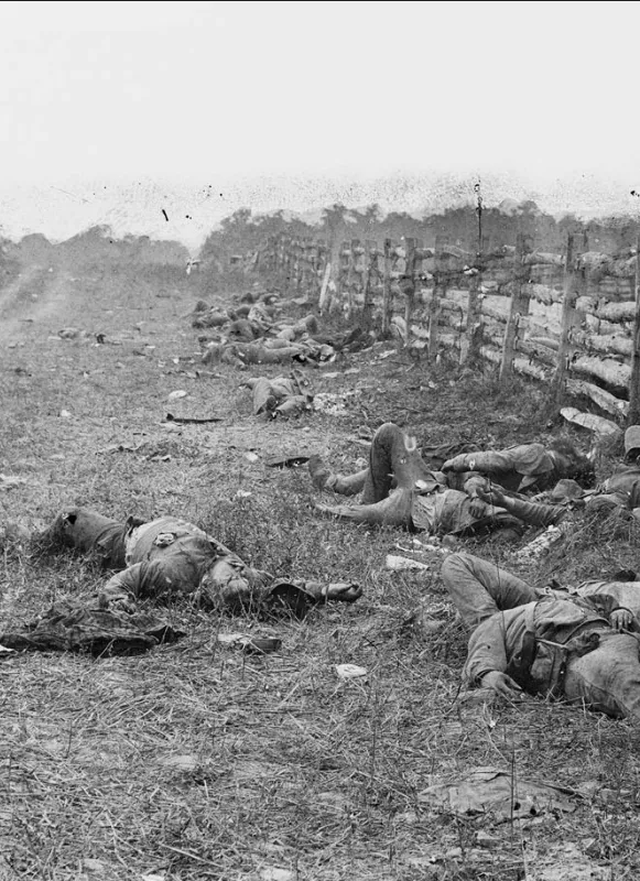 Antietam, Md. Confederate Dead by a Fence on the Hagerstown Road, September 1862. Photograph by Alexander Gardner.