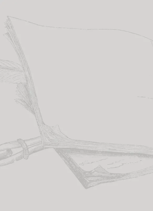 This is a drawing of a blank, open journal and a quill. 
