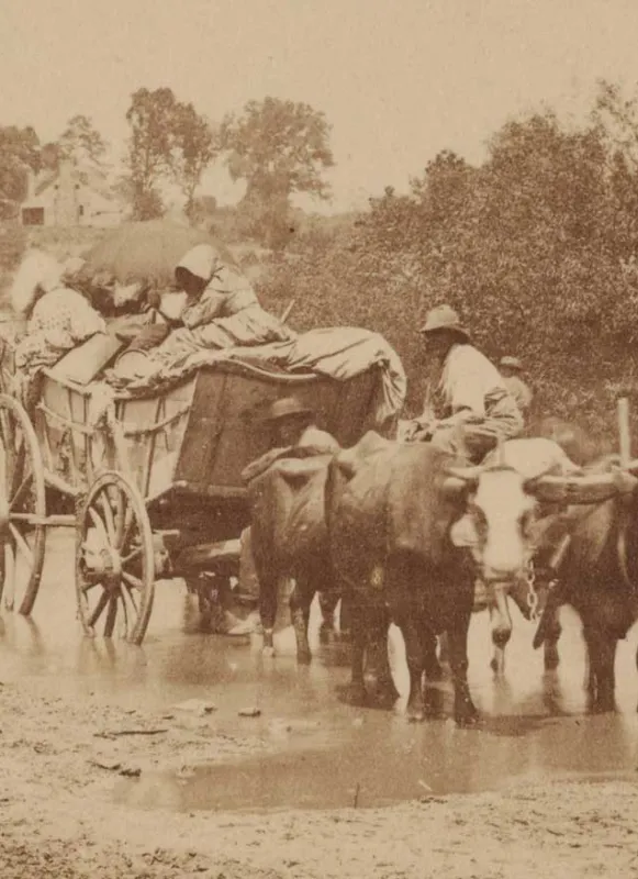 A detail from Timothy H. O'Sullivan's 'Fugitive Negroes, fording Rappahannock'
