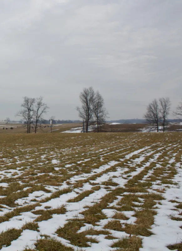 South Cavalry Field, Gettysburg National Military Park, Pa.