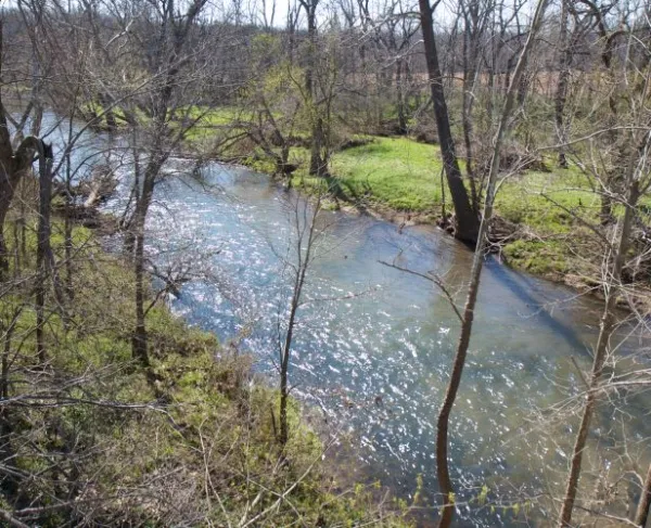 Wilson's Creek
